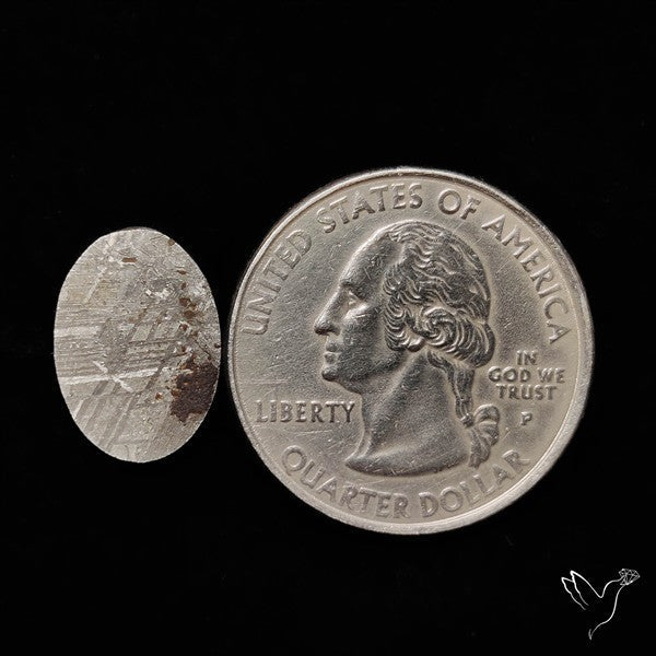 Rare Gibeon Meteorite