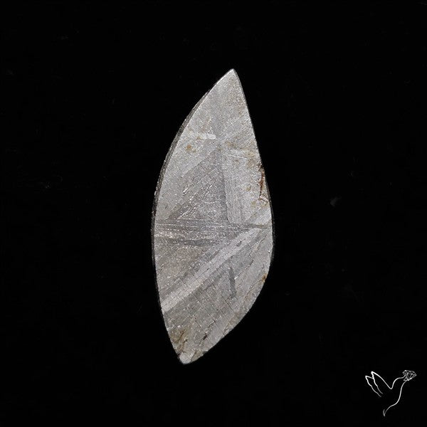 Rare Gibeon Meteorite