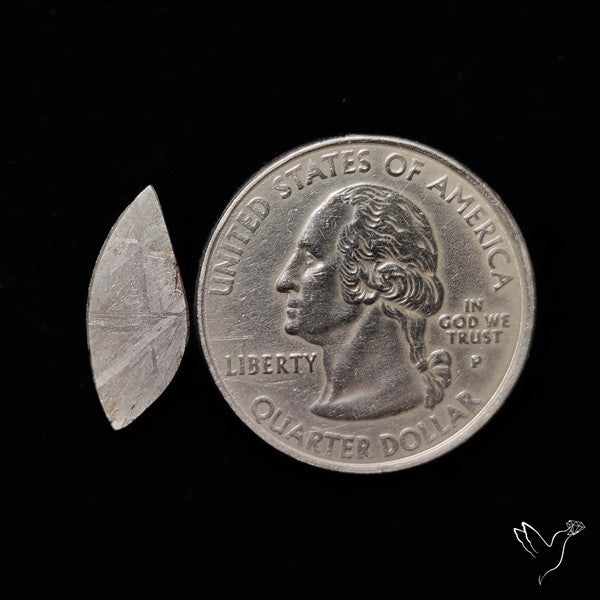 Rare Gibeon Meteorite