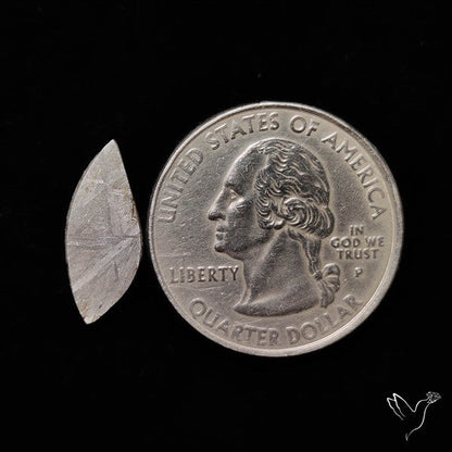 Rare Gibeon Meteorite