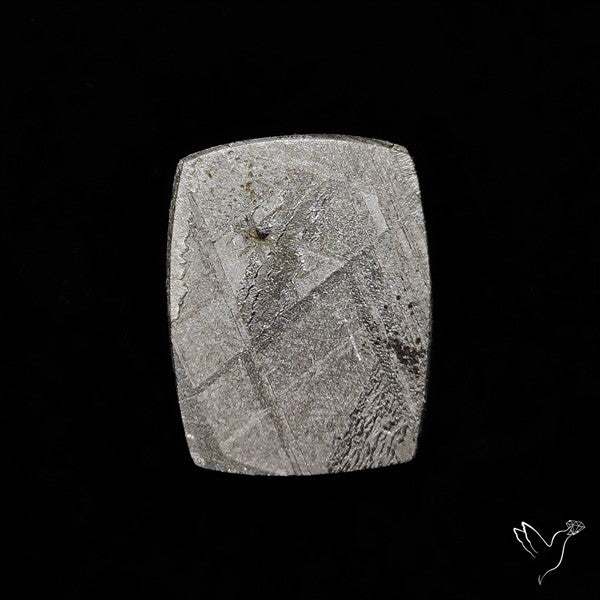 Rare Gibeon Meteorite