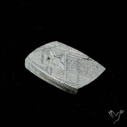 Rare Gibeon Meteorite