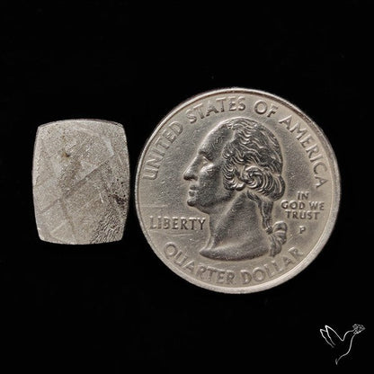 Rare Gibeon Meteorite