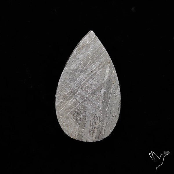 Rare Gibeon Meteorite