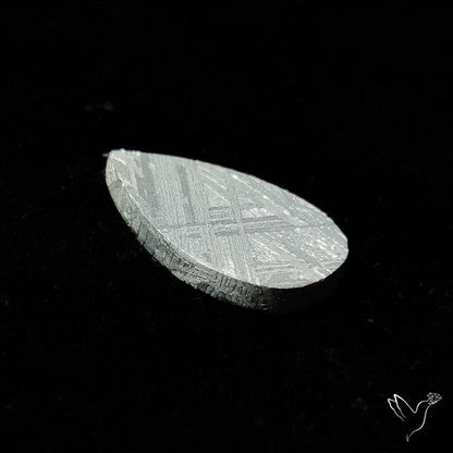 Rare Gibeon Meteorite