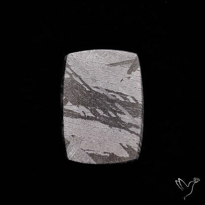 Rare Gibeon Meteorite