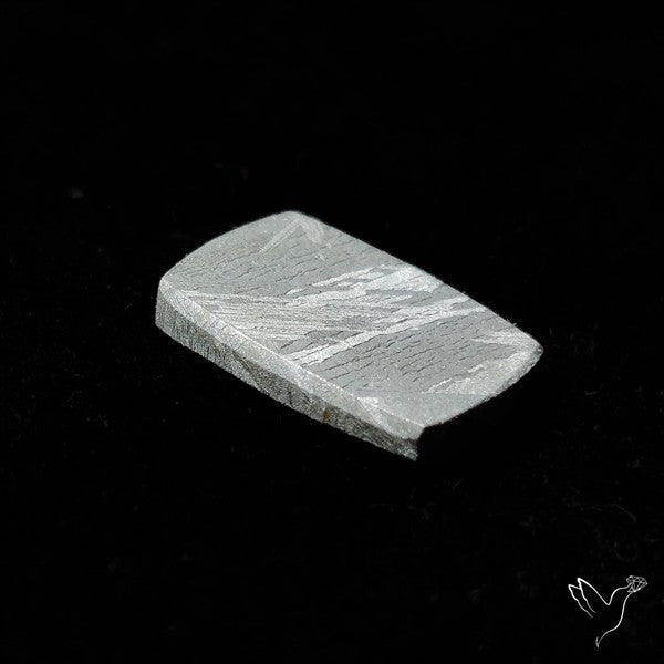 Rare Gibeon Meteorite