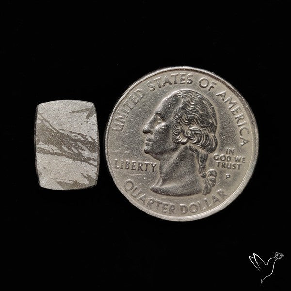 Rare Gibeon Meteorite