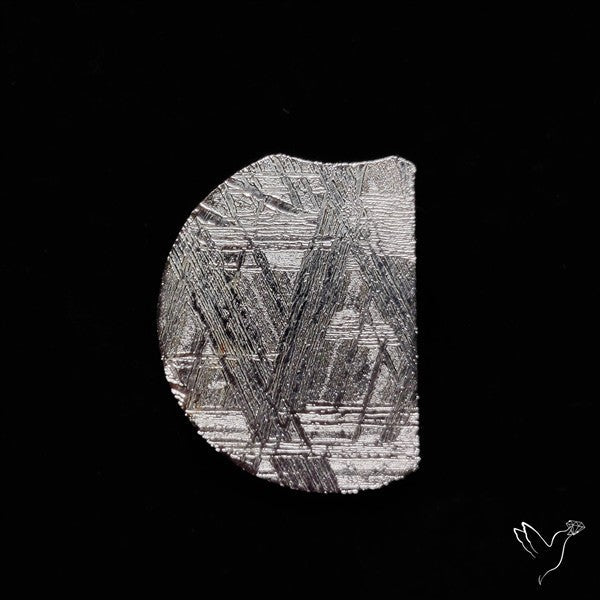 Rare Gibeon Meteorite