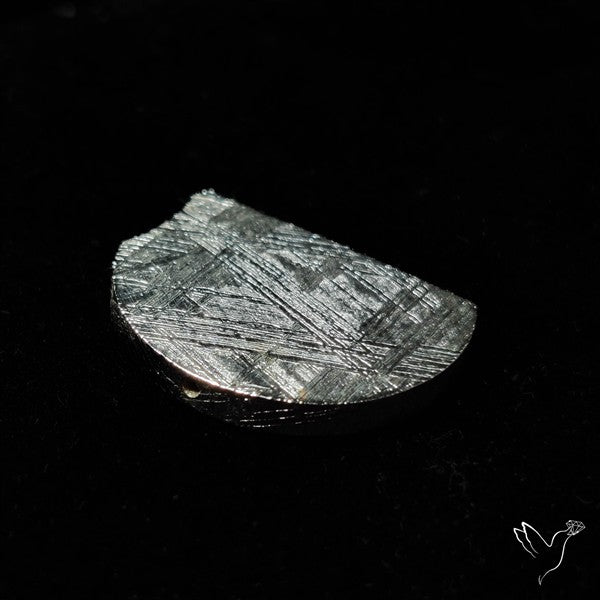 Rare Gibeon Meteorite
