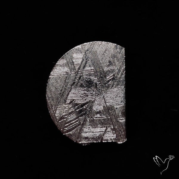 Rare Gibeon Meteorite