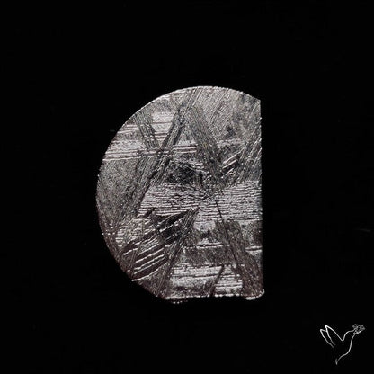 Rare Gibeon Meteorite