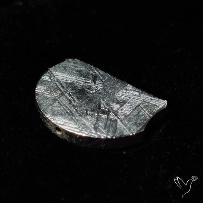Rare Gibeon Meteorite