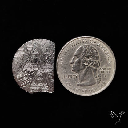 Rare Gibeon Meteorite