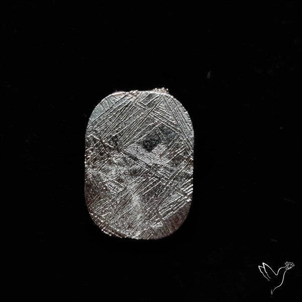 Rare Gibeon Meteorite