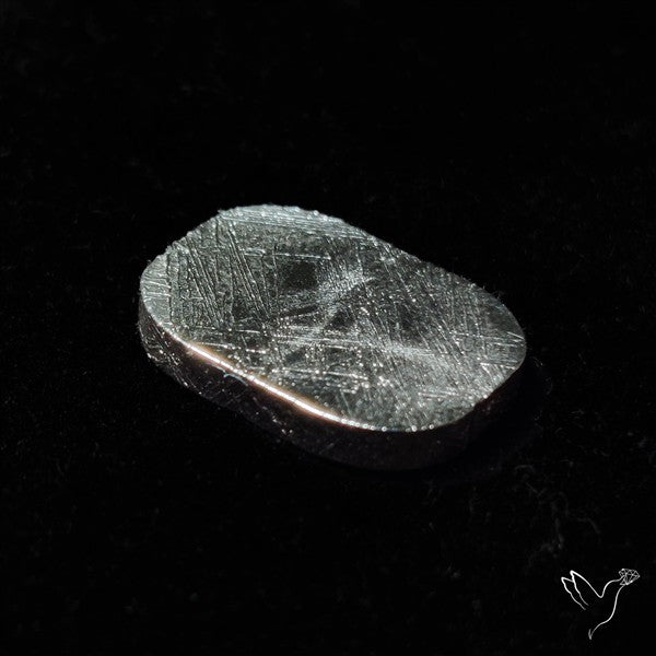Rare Gibeon Meteorite