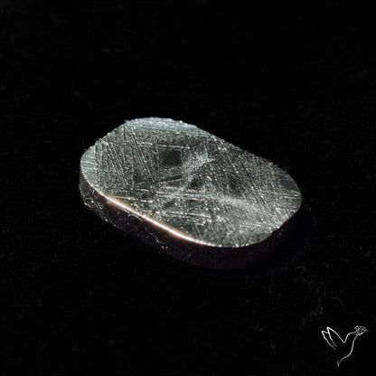 Rare Gibeon Meteorite