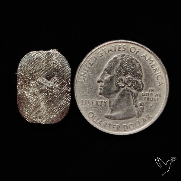 Rare Gibeon Meteorite