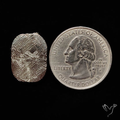 Rare Gibeon Meteorite