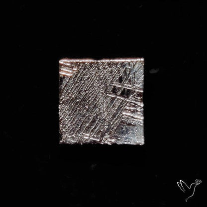 Rare Gibeon Meteorite
