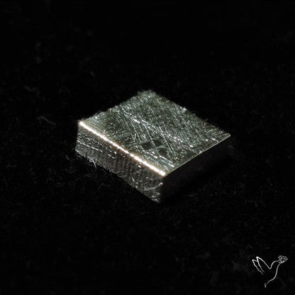 Rare Gibeon Meteorite