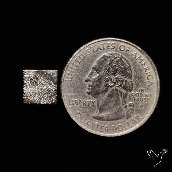 Rare Gibeon Meteorite
