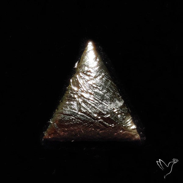 Rare Gibeon Meteorite