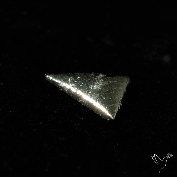Rare Gibeon Meteorite