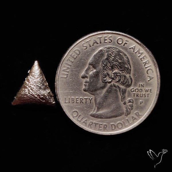 Rare Gibeon Meteorite