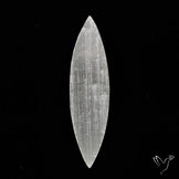 Raw Face Flashy Selenite Druzy