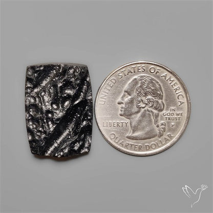 Indochinite Tektite