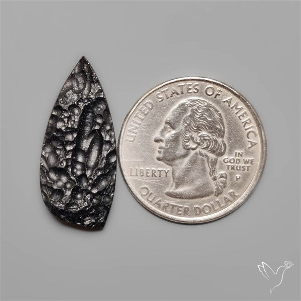 Indochinite Tektite