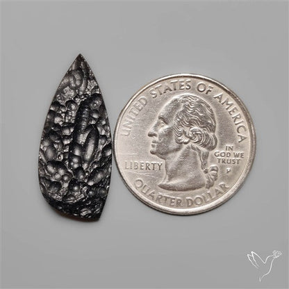 Indochinite Tektite