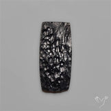 Indochinite Tektite
