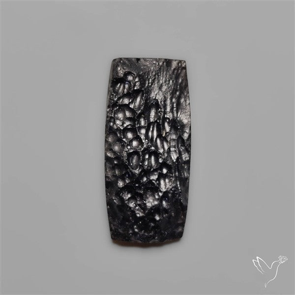 Indochinite Tektite