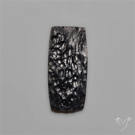 Indochinite Tektite