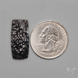 Indochinite Tektite