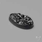 Indochinite Tektite