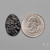 Indochinite Tektite