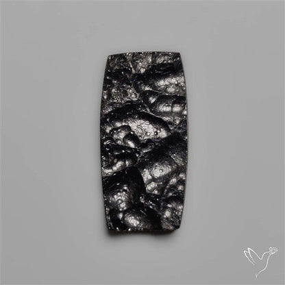 Indochinite Tektite