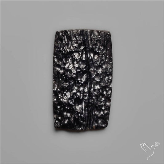 Indochinite Tektite