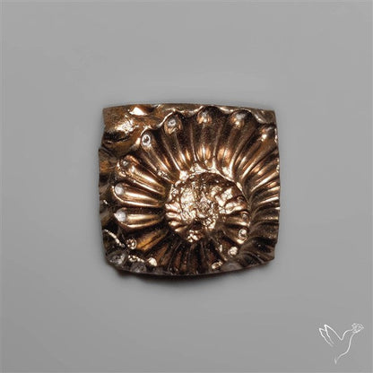 Rare Pyritized Ammonite Fossil Negative