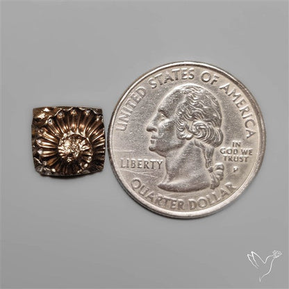 Rare Pyritized Ammonite Fossil Negative