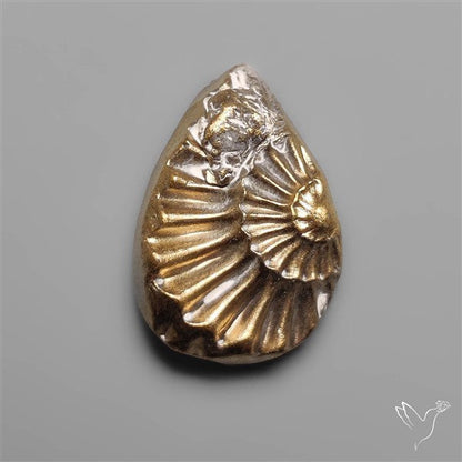 Rare Pyritized Ammonite Fossil Negative