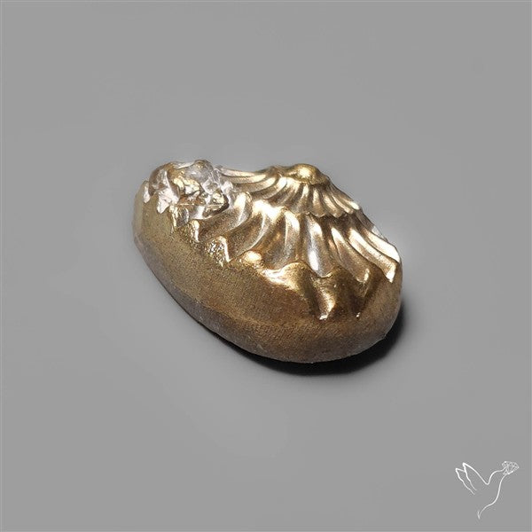 Rare Pyritized Ammonite Fossil Negative