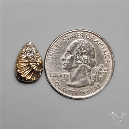 Rare Pyritized Ammonite Fossil Negative