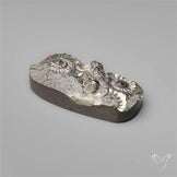 Rare Marston Marble Fossil from England UK