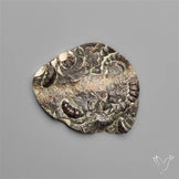 Rare Marston Marble Fossil from England UK