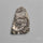 Rare Fossil Marston Marble Raw