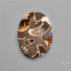 Rare Fossil Marston Marble Polished Flat Cabochon